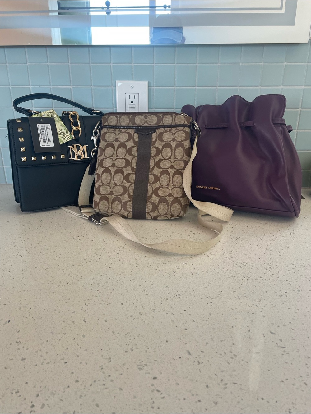 3 purse bundle. 2 Badgley Mischka NWT, 1 Coach crossbody